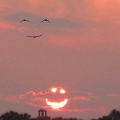 ALL THE THINGS THAT YOU DREAM OF