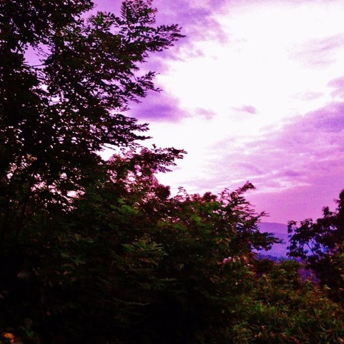 V A P O R W A V E