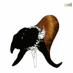 Coil - Teenage Lightning (10th Birthday Version)