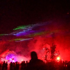 Dk Dent Rina In Garbicz 2016 Only Vinyl