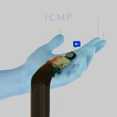 ICMP: Internet Control Message Protocol