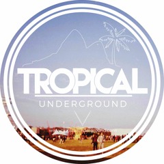 Halley Seidel - Stomach Discomfort (Jesse Saunders DV Underground Remix)