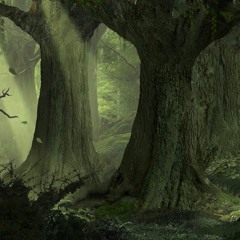 The Ancient Forest