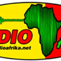 Kurator Herr Mag. Niang über Pavillon Österreich Dakar Biennale 2016 & Art im Dienst Kunstordination