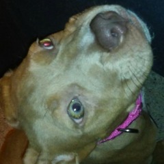 Streets Starving- Young & Envy