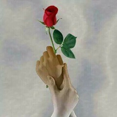 J Aime Les Fruits Alain Le Lait M4v By Marysol Perez