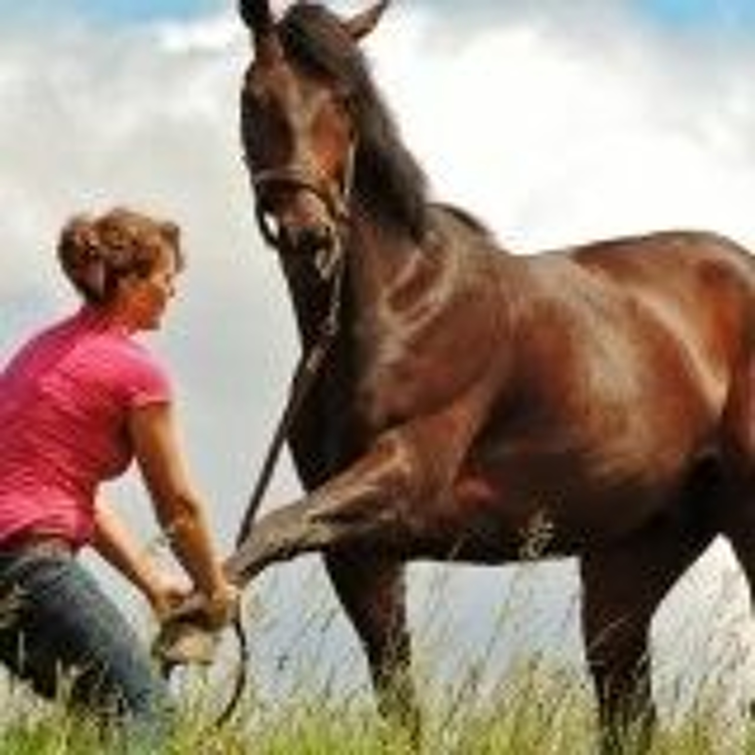 Emily Wolf of Heart to Hand Equine Massage
