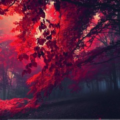 Grove :  Backwash (original mix)  DOWNLOAD FREE