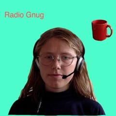 Radio Gnug – Sending #1