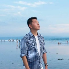 Cinderella Movie - Dilly, Dilly (cover)