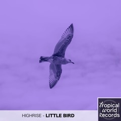 Highrise - Little Bird [The Lucky Network Exclusive]