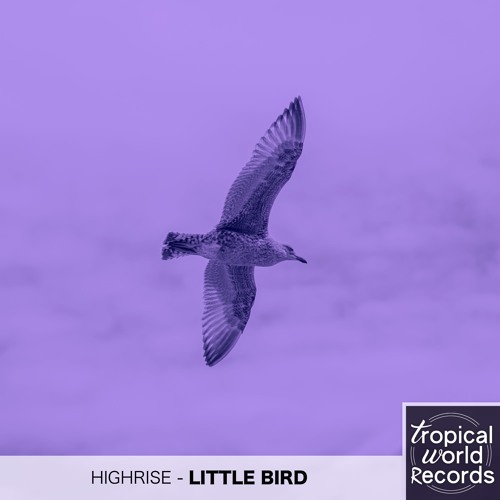 Highrise - Little Bird [The Lucky Network Exclusive]