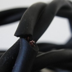 Bio-Critical Incidents, Sonic Terrain