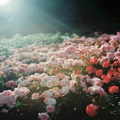 Tìm Một Người Như Thế - Ngọc Anh