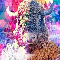 Buried a Bone by Blind Pilot