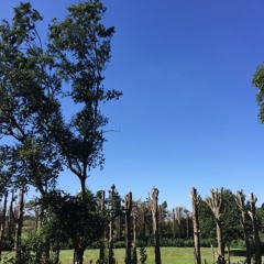 Would It Be Different