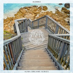 Animal Picnic, Miguel Garji, Javi Viana - Is It You