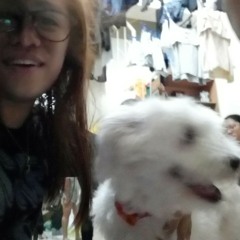 Too Much Heaven (Bee Gees cover)