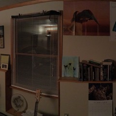 improvised begging (demo)