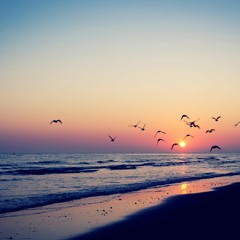 Scott McGuigan - Ocean