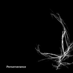 Perserverance