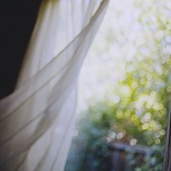 WHITE CURTAINS -MEREDI