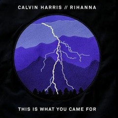 Calvin Harris (feat Rihanna) - This Is What You Came For (Stefan Noize bootleg remix)