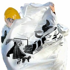 Songs For Whocares At The End Of Whatever mix