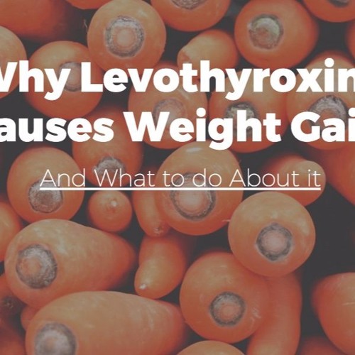 Stream Why Levothyroxine Causes Weight Gain and How to Prevent it by Dr