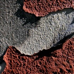 Extinct Emotion - soundtrack