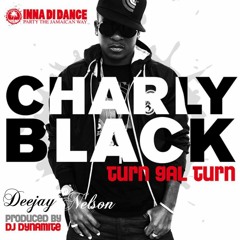 98 - Charly Black - Gyal You A Party Animal ( In Jugadas - Mix Tape) Ft Nelson