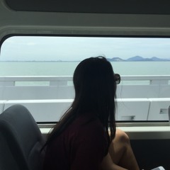 house of gold-twenty one pilots (cover)