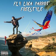 Fly Lika Parrot Freestyle