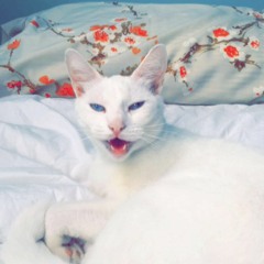 Trap Fish x Jimmy Brooks (Prod. Ruger) (Co.Write SpazZ)