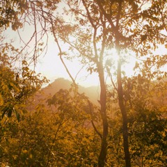 dusk, magnetic island