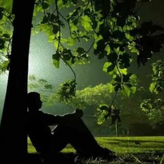 قصيدة روعه مطر الرضا يهمي وفاض الجود