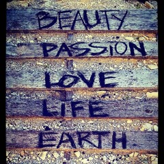 Chilldren of Indigo - Into Infinity