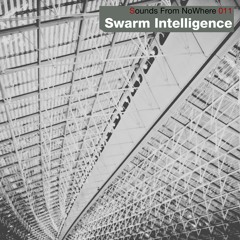 Sounds From NoWhere Podcast #011 - Swarm Intelligence