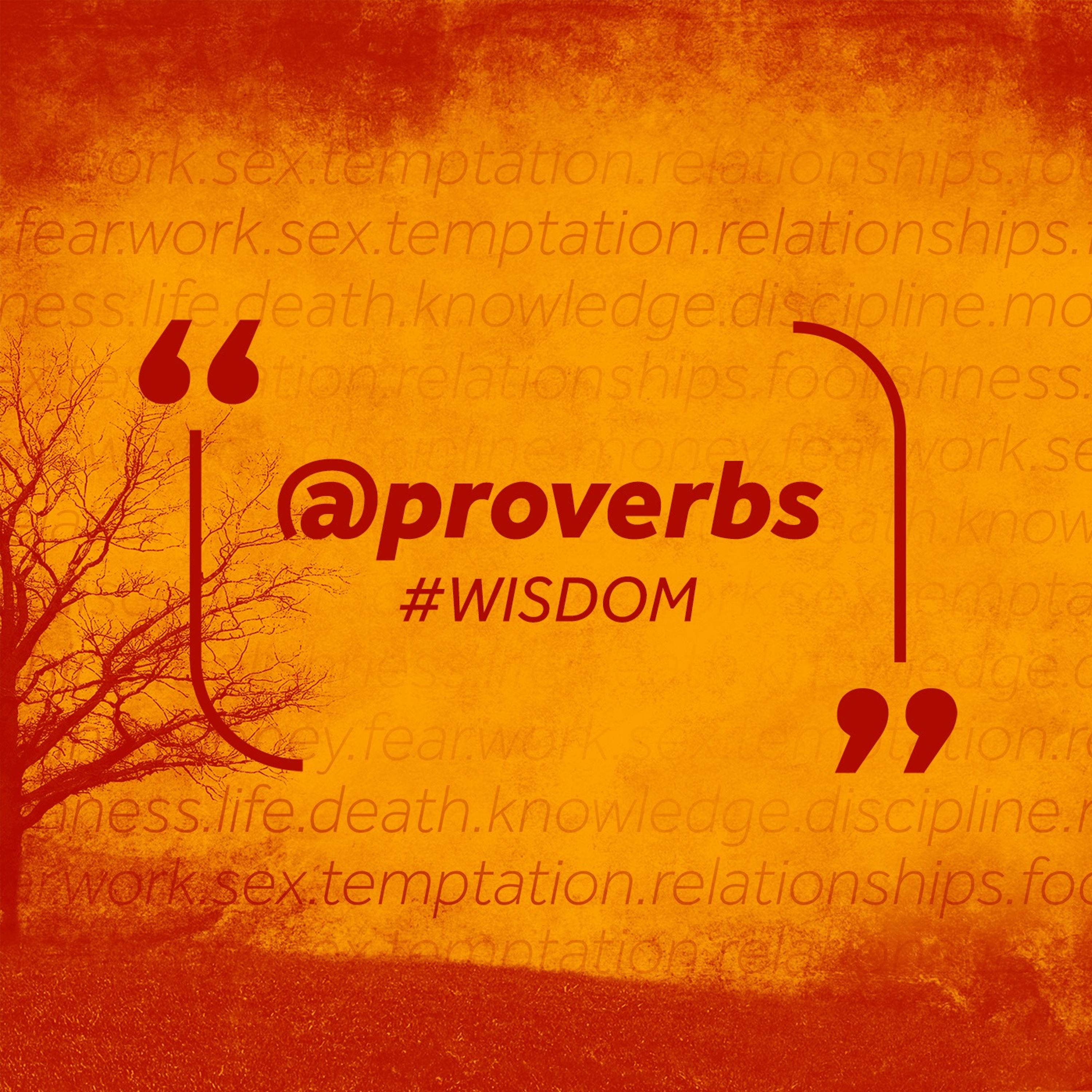 @proverbs | Part 12 | The Women of Wisdom episode artwork