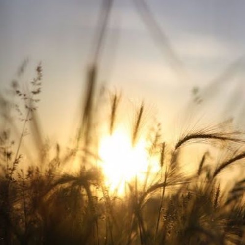 Erica Jennings - It's a Lovely Day (Semih Hakyemez Rework)