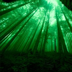 Fell Deep Into The Forests Of Mars - An Ecstatic Bass Yoga Mix