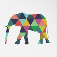 The Elephant In The Room