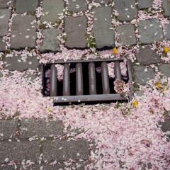 ThinkifI (Remix) W/ {tnixx}