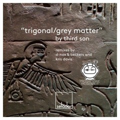 PREMIERE: Third Son - Trigonal (D-Nox & Beckers Remix) [Selador]