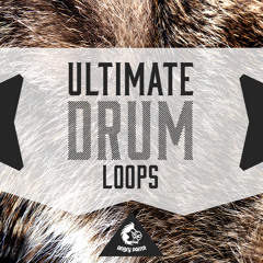 Ultimate Drum Loops [600+ Drum Samples / Loops + Construction Kits]