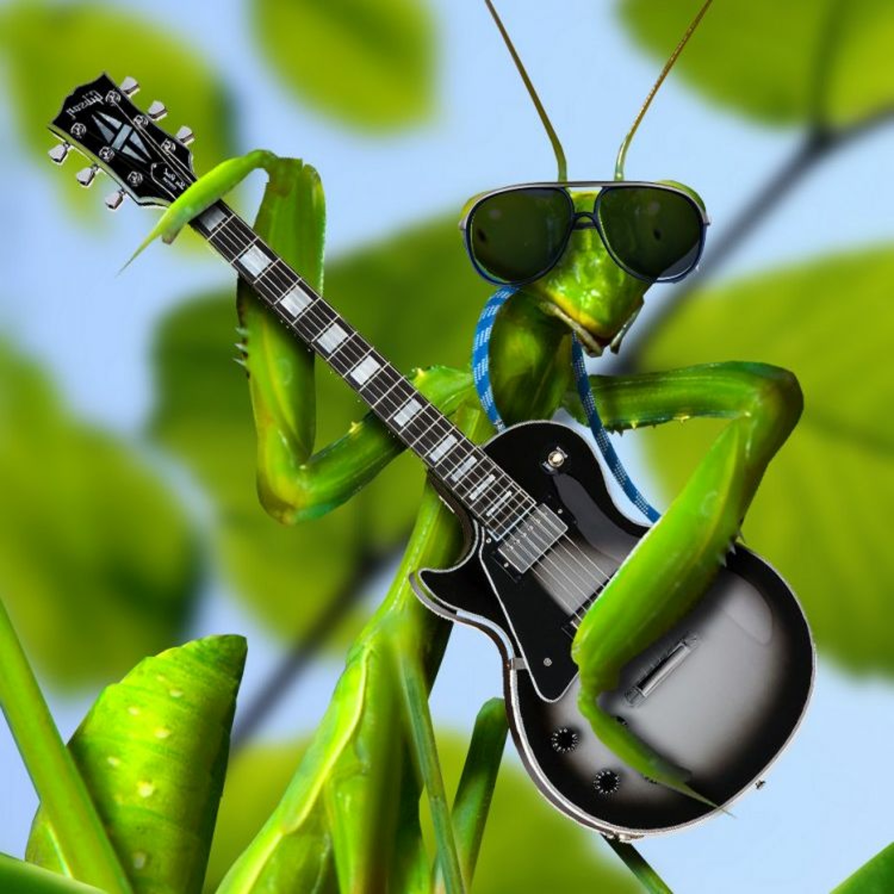Grasshopper Blue's/Collab w Tom Adams episode artwork