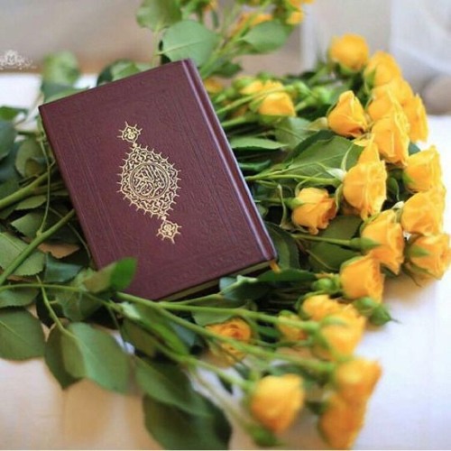 يَاأَيُّهَا الَّذِينَ آمَنُوا اتَّقُوا اللَّهَ   - عامر المهلهل