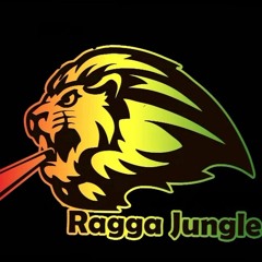 HUŁA - Ragga Jungle / Jump Up Mix 2016-08-16