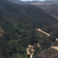 Woke My Self Up (Freestyle)