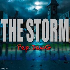 The Storm